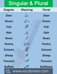 For more, explore this irregular verbs list. 100 Singular Plural Nouns List Examples In Urdu Or Hindi With Pdf Singular And Plural Words Plural Words Plurals