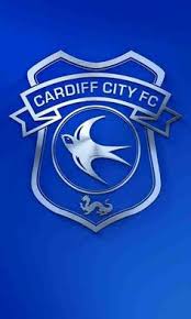 Cardiff city fc crest pin badge. Cardiff City Fc