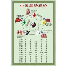 Usd 7 29 Chinese Medicine Viscera Theory Wall Stickers