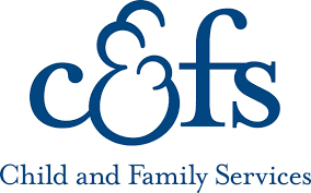Patient care services (pcs) comprises health promotion, disease prevention, diagnostics, therapeutic and rehabilitative care, recovery and palliative care. Child Family Services Of Erie County Guidestar Profile
