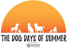 We did not find results for: Dog Days Of Summer