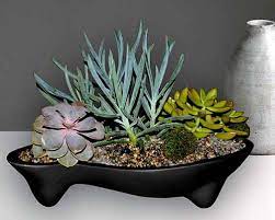 This plant is large and very realistic!. 9 Best Succulent Planters For Container Gardening 2020 Gardener S Path