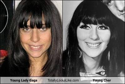 images?q=tbn:ANd9GcTPyx1BCNgDL7cbHsRj336