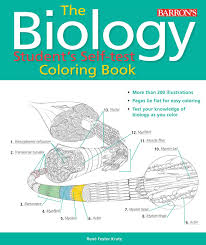 Biology coloring workbook by princeton review staff and edward alcamo (1998, trade paperback, workbook) at the best online prices at ebay! Amazon Com Biology Student S Self Test Coloring Book 9781438012315 Fester Kratz Ph D Rene Books