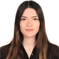 3800+ “Sarioglu” profili