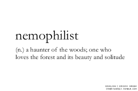 There S A Word For That 25 Expressions You Should Have In Your Vocabulary High Existence Unusual Words Words Word Definitions