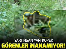 A Haber On Twitter Yari Insan Yari Kopek Gorenler Inanamiyor Https T Co Uuelovni2s