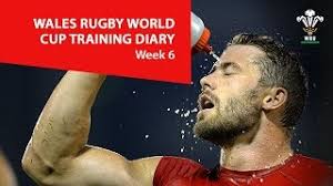 WEEK 6: Wales Rugby World Cup training diary