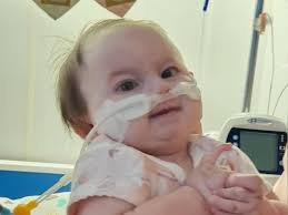 Chloé Olivia Dahn's Obituary