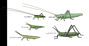 バッタ 画像