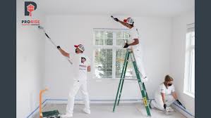 Paint innovative brushless painting system review billy carmen. Prorise Painting Company Home Facebook
