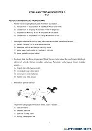 Also blieb uns laut james nur eine möglichkeit. Pts Ipa Semester 2 Worksheet