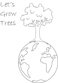 Superb christmas tree outline drawing with tree coloring pages. Plant Tree Printable Coloring Page For Kids