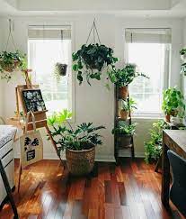 With the right care, many of these plants will live a decade or more. 27 Interior Design Plants Inside House Pictures Plant Decor Interior Design Plants House Plants Indoor