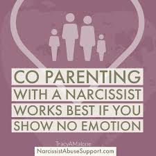 Specialized in motivation and personal growth, providing advice to make readers fulfilled and spurred on to achieve all that they desire in life. Coparenting With A Narcissist4 Narcissist Abuse Support