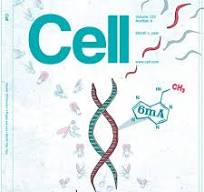 Submit a cover design to be published in the scientific ...