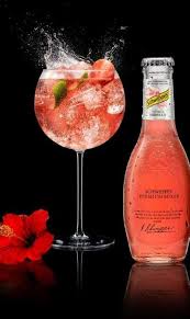 Gin Tonic Hibiscus Fruite Gin Cocktail Rezepte Gin Rezepte Gin Getranke