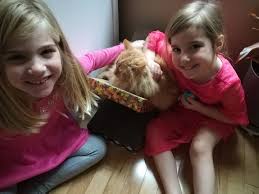 Aldi's and a fun wall art project