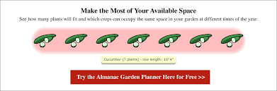 Check spelling or type a new query. Cucumbers Planting Growing And Harvesting Cucumbers The Old Farmer S Almanac