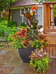 Check spelling or type a new query. 18 Vietnam Garden Ideas Container Gardening Plants Garden Design