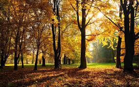 Wallpapers Hd Autumn Season Autumn Autumn Landscape New Nature Wallpaper Scenery