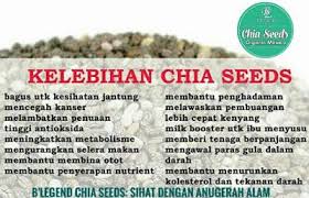 Chia seeds are most healthy, versatile considered to be superfoods belonging to the mint family. B Legend Chia Seeds Badan Sihat Dengan Anugerah Alam Pengedar Stokis Pemborong Agen Produk Kecantikan Kesihatan Kosmetik Dropship Murah Hcube Shop