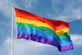 See more of regenbogenfahne hissen vor dem rathaus in dresden on facebook. Regenbogenflagge Bedeutung Geschichte Der Pride Flag