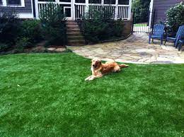 We specialize in artificial pet turf, artificial playground turf, landscaping & artificial field turf for sports. Artificial Grass For Dogs In Florida Usa Florida Turf Company