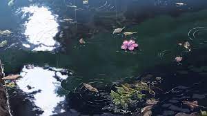 言叶之庭高清电脑壁纸 新海诚言叶之庭1080p图片唯美场景 55壁纸大全 garden of words anime scenery aesthetic anime