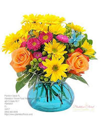 Maybe you would like to learn more about one of these? Best Florist In Davie Florida