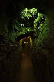 Societe des caves roquefort making the mold. Roquefort En 1 Journee Visite Des Caves Randonnee Et Degustation