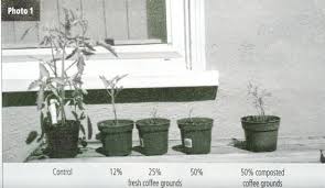 Maybe you would like to learn more about one of these? The Truth About Coffee Grounds Laidback Gardener