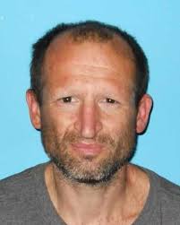 Man Waving Machete Arrested