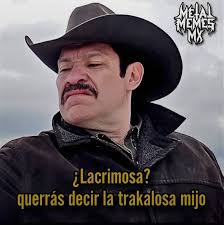 Bello arlequín ✨🖤