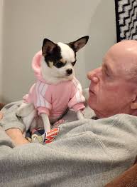 Hi everyone!!!!! My name is Carleita and I am from Alberta....I am 4 years  old and 3 pounds.... Hope you all have a good sleep..