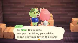 Giveaway Cobb The Jock Pig In Boxes The Bell Tree Animal Crossing Forums
