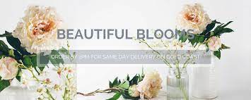 We did not find results for: Gold Coast Florist Free Delivery Mermaid Beach Southport