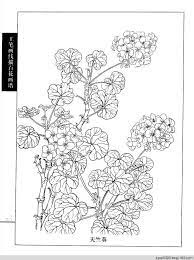 工笔画白描 春夏 二 水韵清香 水韵清香 coloring pages art color