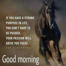 Good Morning Your Passion Will Drive You Goodmorningquotesforhim Good Morning Inspirational Quotes Morning Quotes Images Morning Quotes For Him