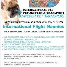 Air animal pairs this care with responsive customer service and a mobile app that lets you manage your pet's journey with your phone. The International Pet Transport Company We Jet Pet S With Tlc Home Facebook