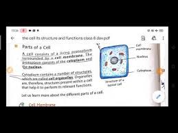 We did not find results for: Dav Class 8 Science Ch 1 Part 2 Cell Its Structure And Functions Youtube