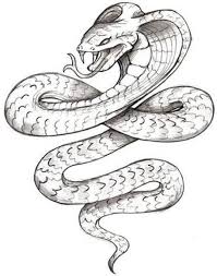 Black And White Snake Tattoo Drawing Snake Tattoo Designs The Body Is A Canvas Cobra Tattoo King Cobra Tattoo Snake Tattoo Design