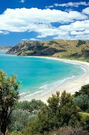 Found on a peninsula of land of the same name, it sits between kawau bay to the south and omaha beach to the north. Sonocy Com Gisborne New Zealand New Zealand Beach New Zealand Travel