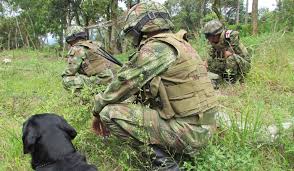 Todas las noticias sobre ejército nacional colombia publicadas en el país. Batallon Que Opera Desde Hace Mas De Un Siglo En Boyaca Sera Trasladado A El Catatumbo Tunja Caracol Radio