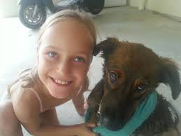 We want to use this opportunity to thank a group of aruban citizens who  opened their heart and home for some adult or even old Crijojodogs we  trapped the last couple of