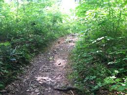 Find trail maps, reviews, photos & driving directions on traillink.com. Allamuchy State Park Matt Kadosh