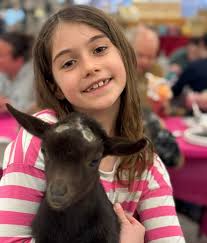 Can you STAND this cuteness? Our studio was buzzing with creativity and  cuteness at our Paint with Baby Goats event! Everyone had a great time  painting pottery while these adorable babies provided