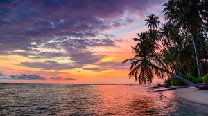 Here you can find the best sunset beach wallpapers uploaded by our community. Indonesia Banyak Islands Sumatra Tropical Desert Beach Sunset Sky Sea Palm Trees Photo Landscape 4k Ultra Hd Wallpaper For Desktop Laptop Wallpapers13 Com