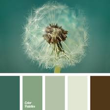 Color Palette 2895 Paint Color Schemes Color Schemes Color Pallets