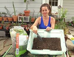 It's actually easy and cheaper to make your own cactus soil. Watch At Sucsforyou Com Youtube Com C Sucsforyou New Video How To Make Your Own Succulent And Cactus Soil And Faqs Is Up I Show Succulents Top Soil Soil